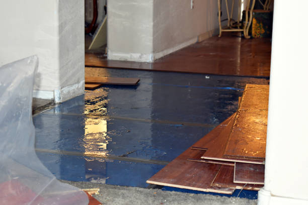 Professional Water Damage Restoration technician working in Hannacroix, NY